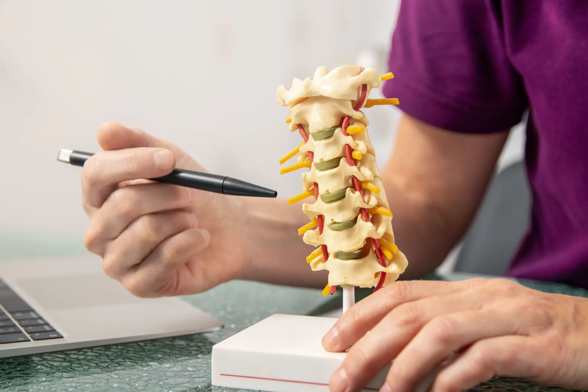 chiropractor pointing to a disc display