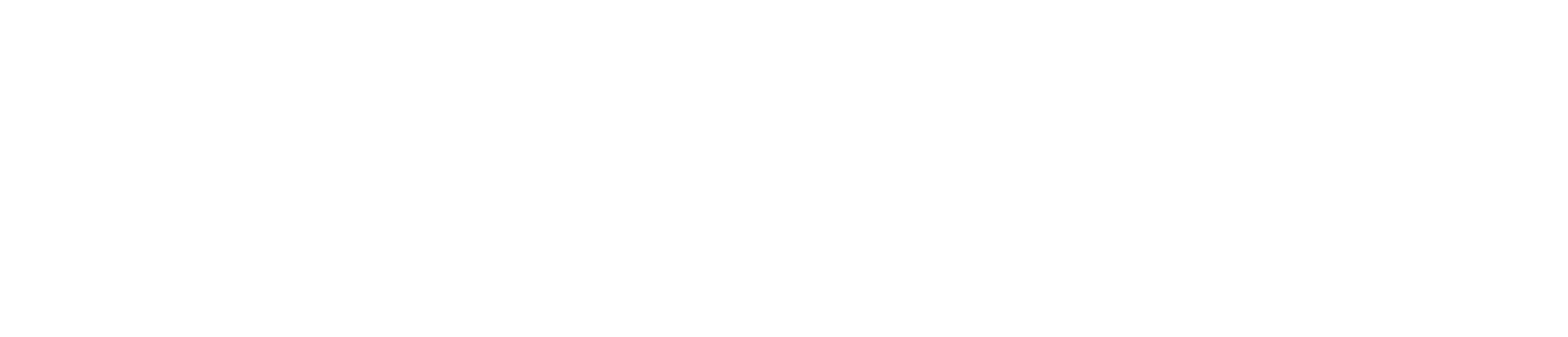 Spine Care White Logo