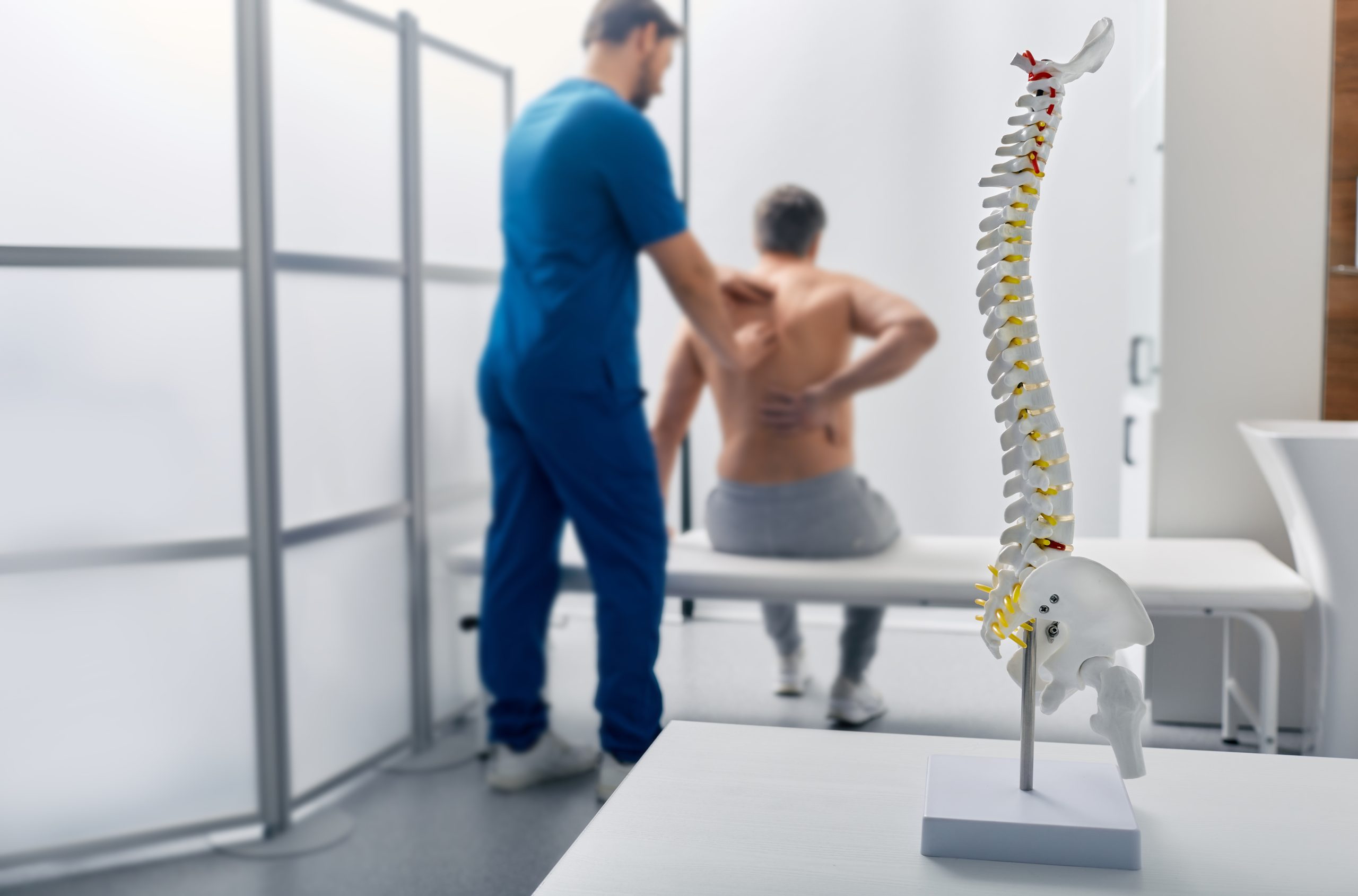 A detailed spine model in the foreground, with a blurred doctor examining a patient's back in the background.